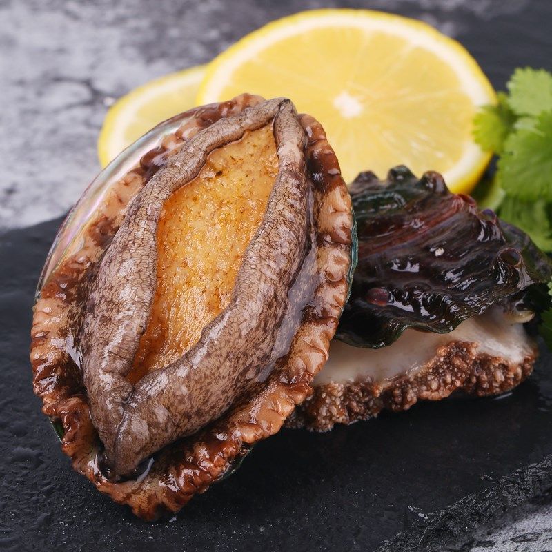 鲍鱼海洋鲜活3-4头特大1斤活鲜大连特产超大手机保护套