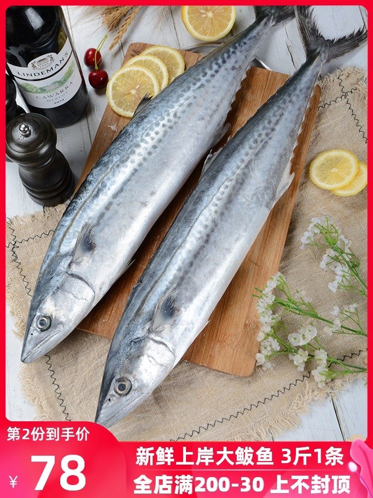 鲅鱼青岛新鲜鲜活海马鲛鱼深海冷冻水产超大3斤手机保护套