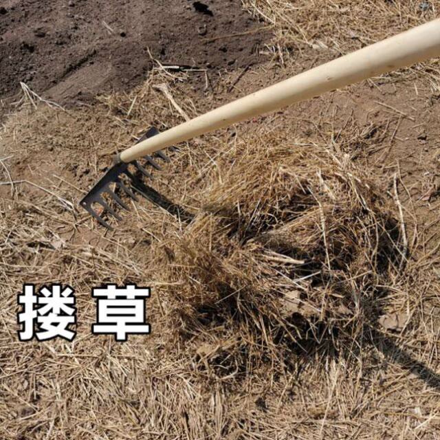 抓马蜂捕捉网蜜蜂笼捕马蜂捉马蜂苍蝇中蜂钢丝养蜂网袋全套室内