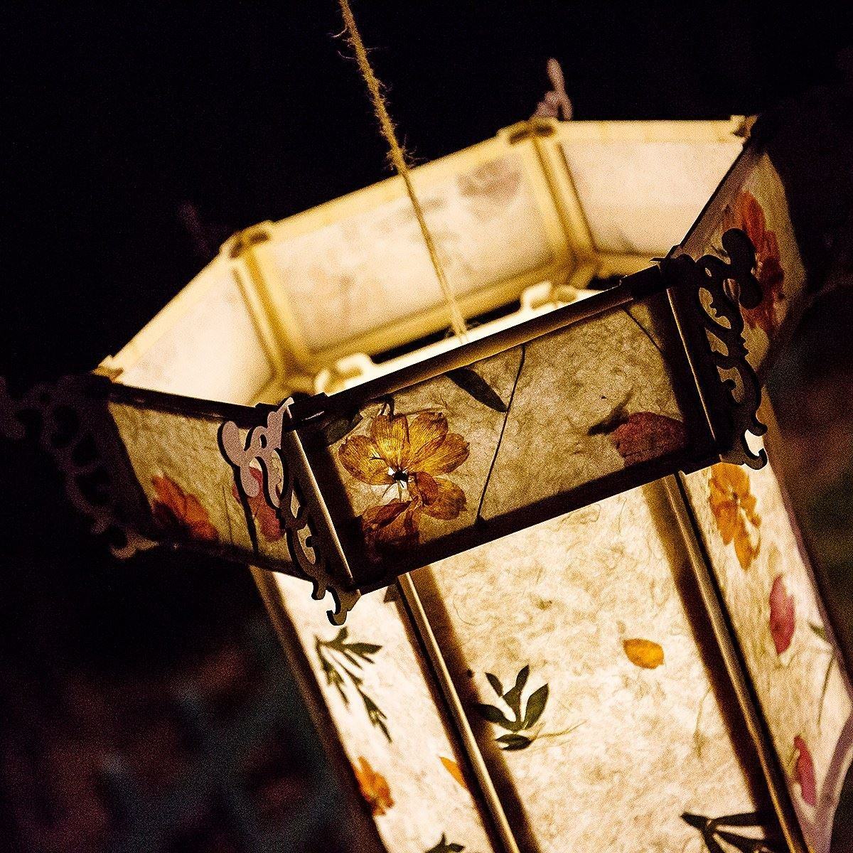 七夕乞巧节日大型花灯灯会夜游花草灯笼纸制diy灯笼