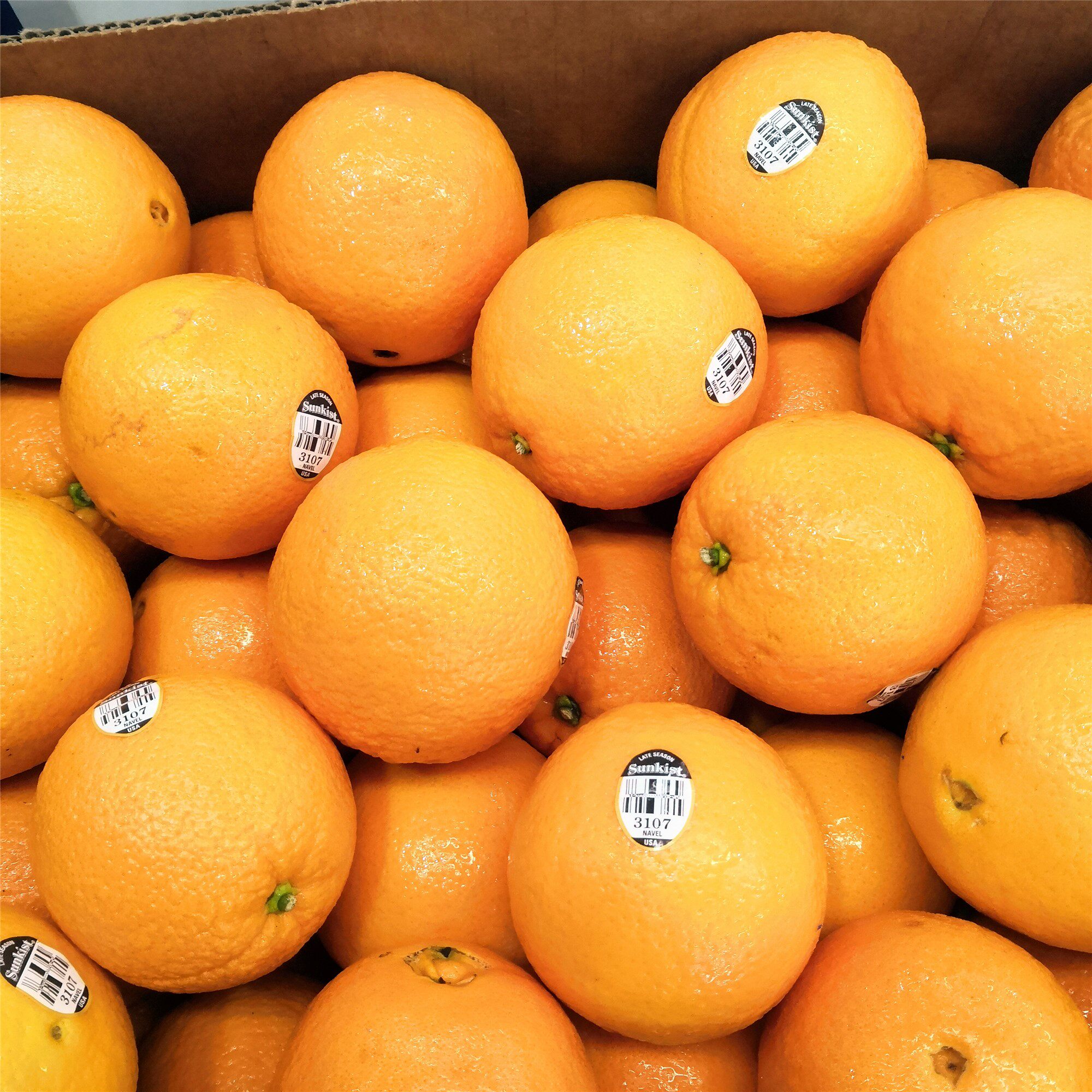 美国新奇士黑标3107脐橙sunkist进口橙子10个甜橙橙