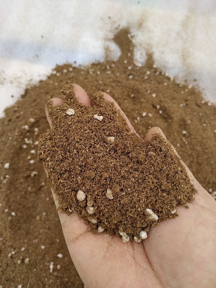 锯末实木木屑发酵营养盆栽花卉肥料养花种菜家庭园艺肥料