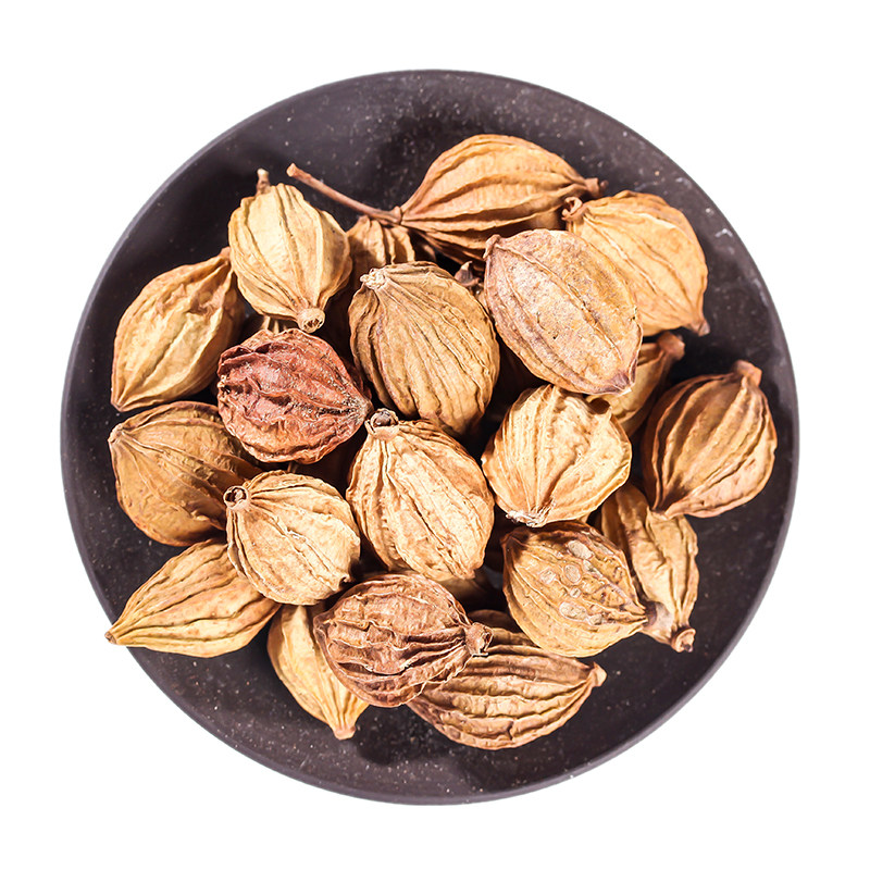 香砂香料砂仁儿干50g卤料仁无四川麻辣烫广砂花椒