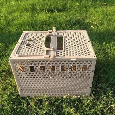 笼子信鸽赛鸽鸽子报道放鸽具放飞迷你用品塑料笼子