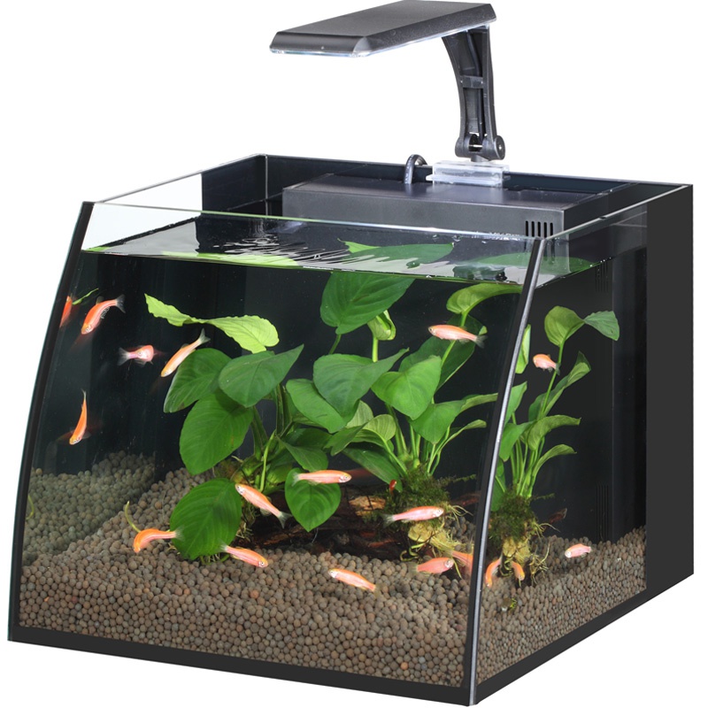 鱼缸小型迷你办公桌客厅水族箱生态大肚子换水热带鱼缸