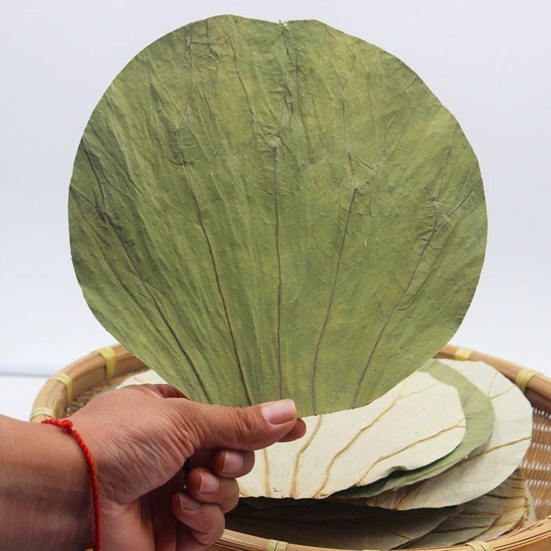 包饭叫花大号糯米叶糯米大片整张包邮干正宗荷叶绿植
