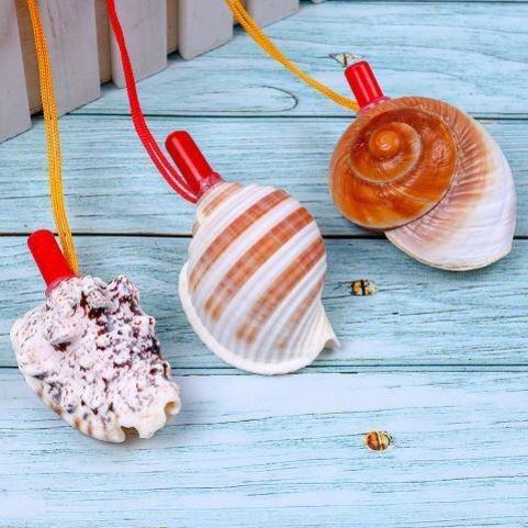 海螺天然玩具大海摆件口哨儿童号角可吹海螺壳海螺