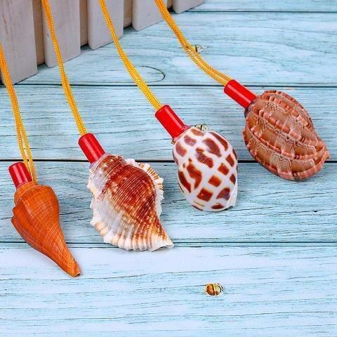 海螺天然玩具大海摆件口哨儿童号角可吹海螺壳海螺