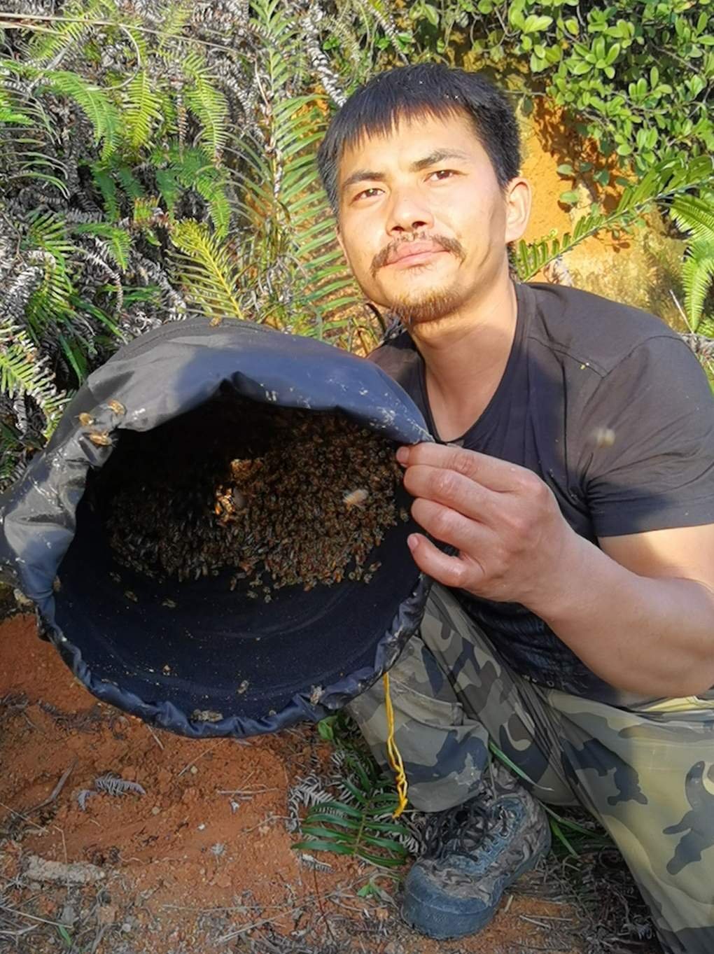 收蜂袋可横放收蜂笼招蜂袋可挂黑色不透光无线头蜜蜂收蜂器养蜂袋
