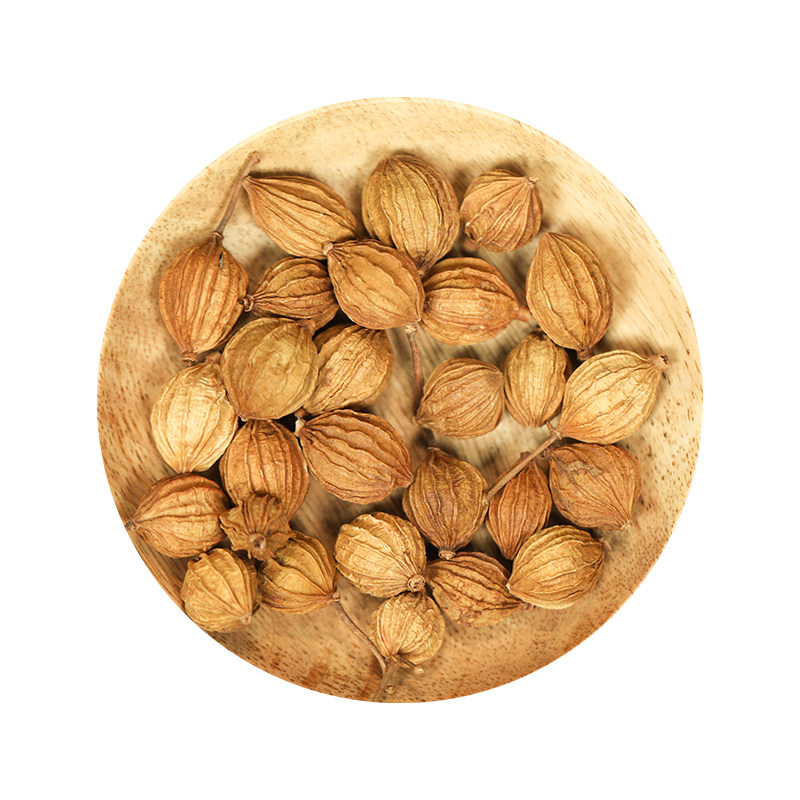 九九味香砂沙仁金砂川砂仁优质四川特产炖肉花椒