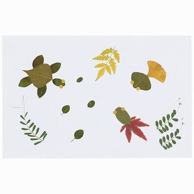 贴画树叶秋天成品手工干花粘贴创意制作小学生手工