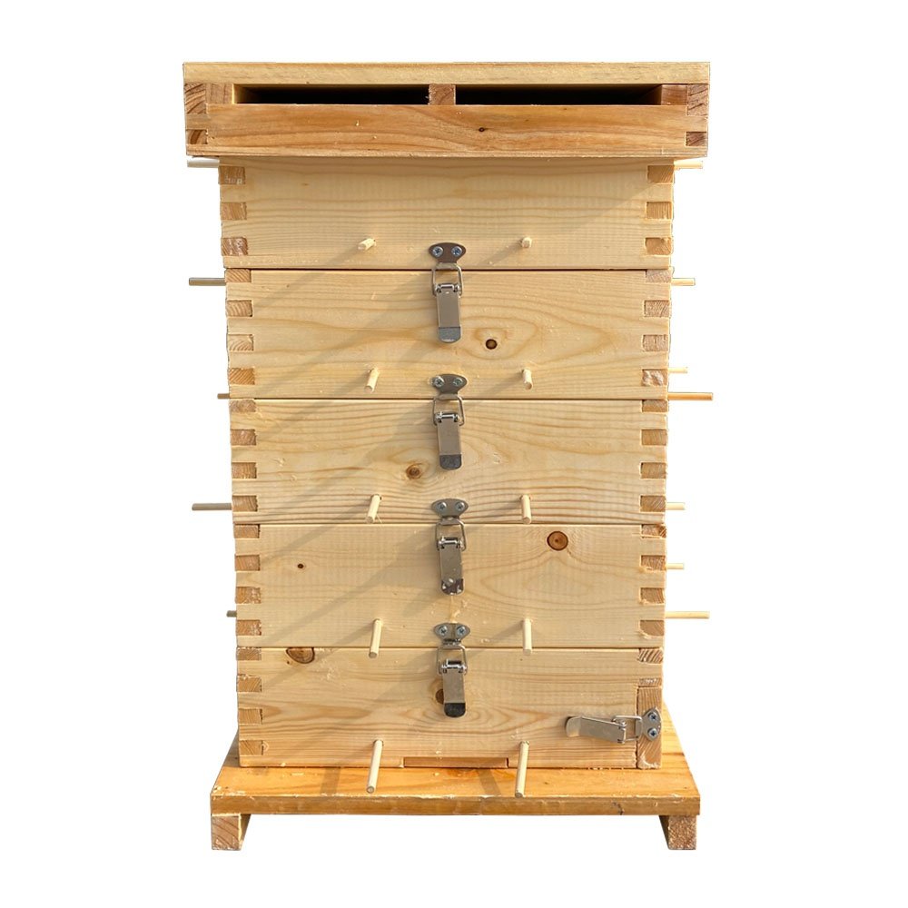 🐝蜜蜂箱全套中蜂诱j蜂箱养蜂专用工具巢础蜂巢用具平箱密蜂蜂具一