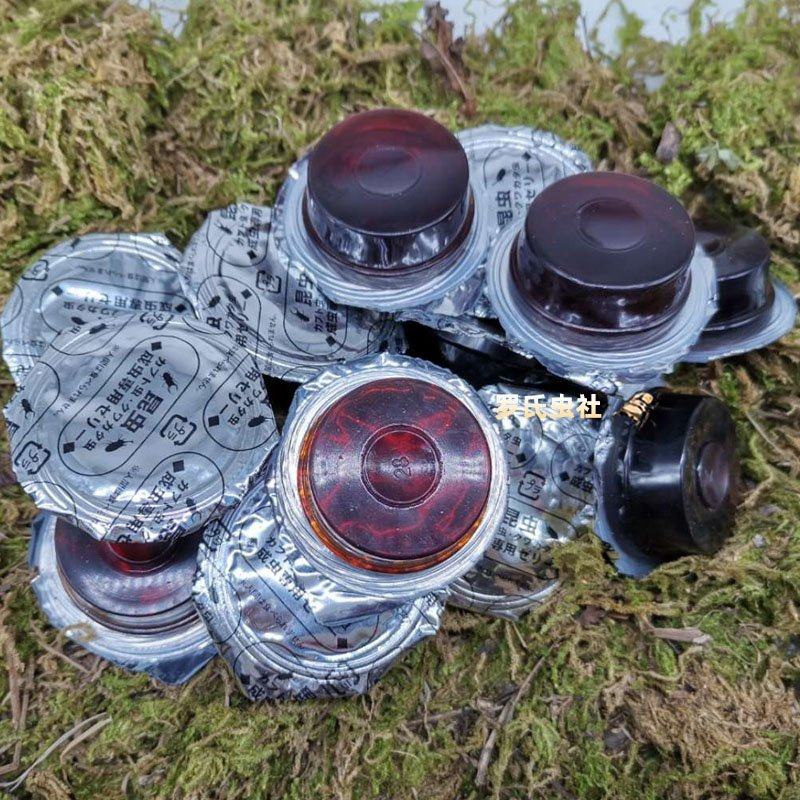 甲虫果冻锹甲独角仙饲料形虫金龟大兜营养食物爬虫