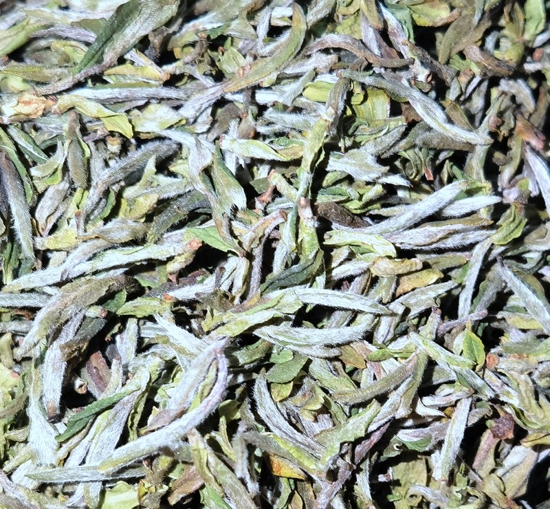 2021太姥山荒野野菜小白白毫银针100克一份体验白毫银针