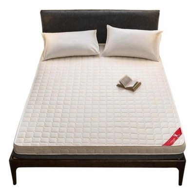 轻便防潮垫加厚单人宿舍卧室学生草垫吸湿夏天便携垫床垫床上保暖