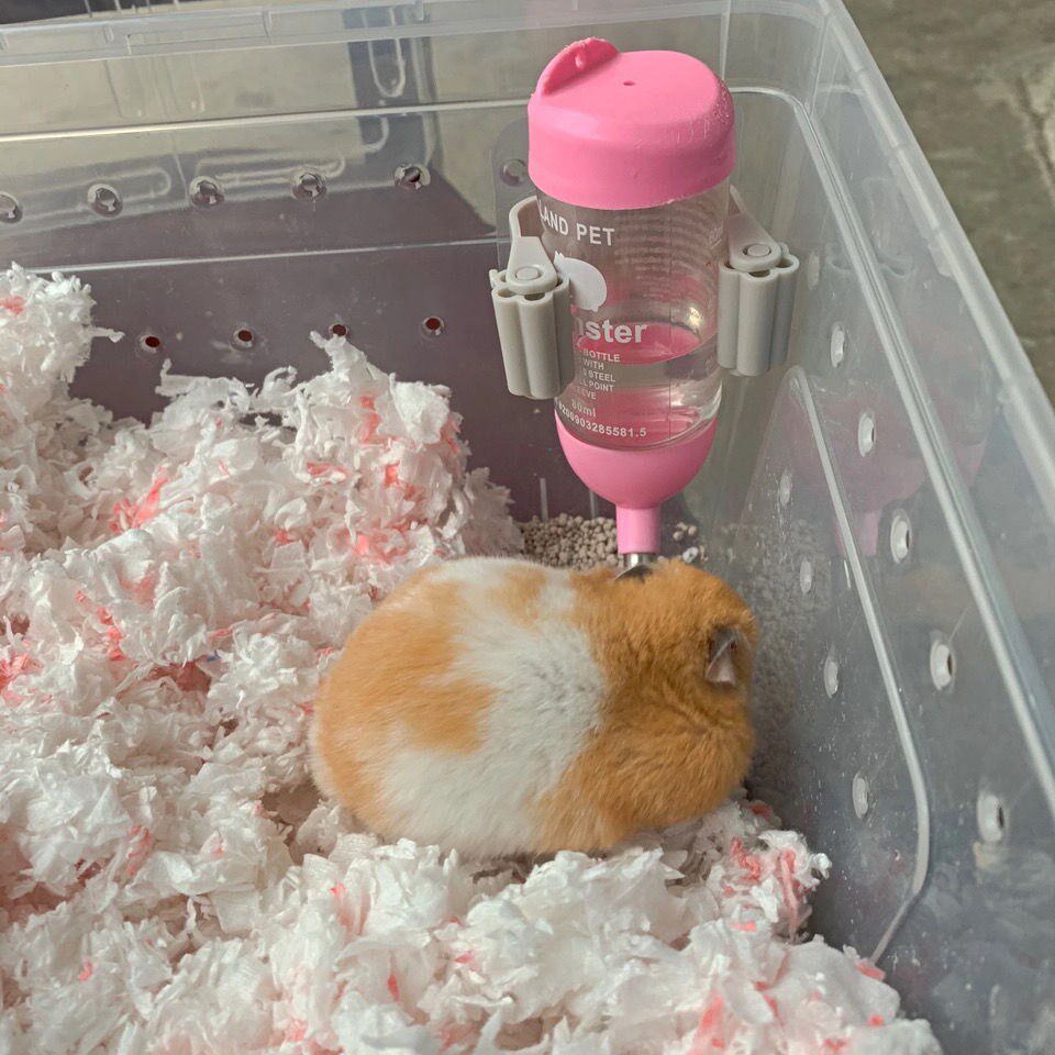 仓鼠水壶卡扣夹整理箱玻璃缸饮水器仓鼠水樽仓鼠水墩仓鼠用品
