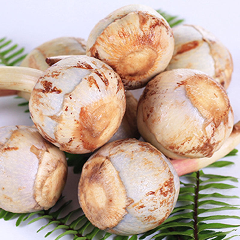 新鲜云南蔬菜荸荠粉糯5斤鲜慈马蹄白马蹄茨菇其它