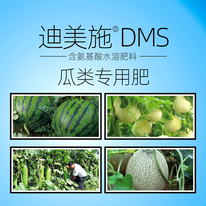 西瓜甜瓜香瓜甜密膨南瓜类专用叶面肥瓜大增叶面肥