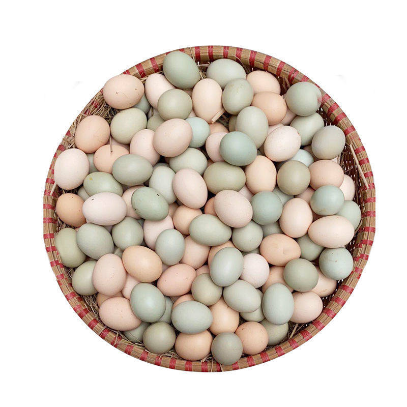 鸡蛋20枚混装果园土鸡新鲜农家散养五谷绿皮鸡蛋