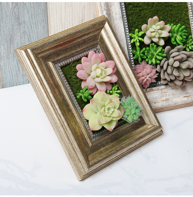 植物做旧多肉相框仿木木纹画框景观花盆墙壁相框