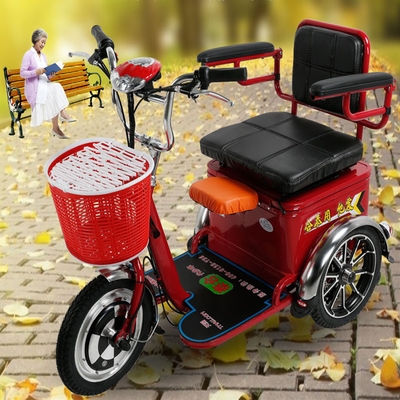 老人电动三轮车成人双人三轮电动车迷你型电瓶车接送电动三轮车