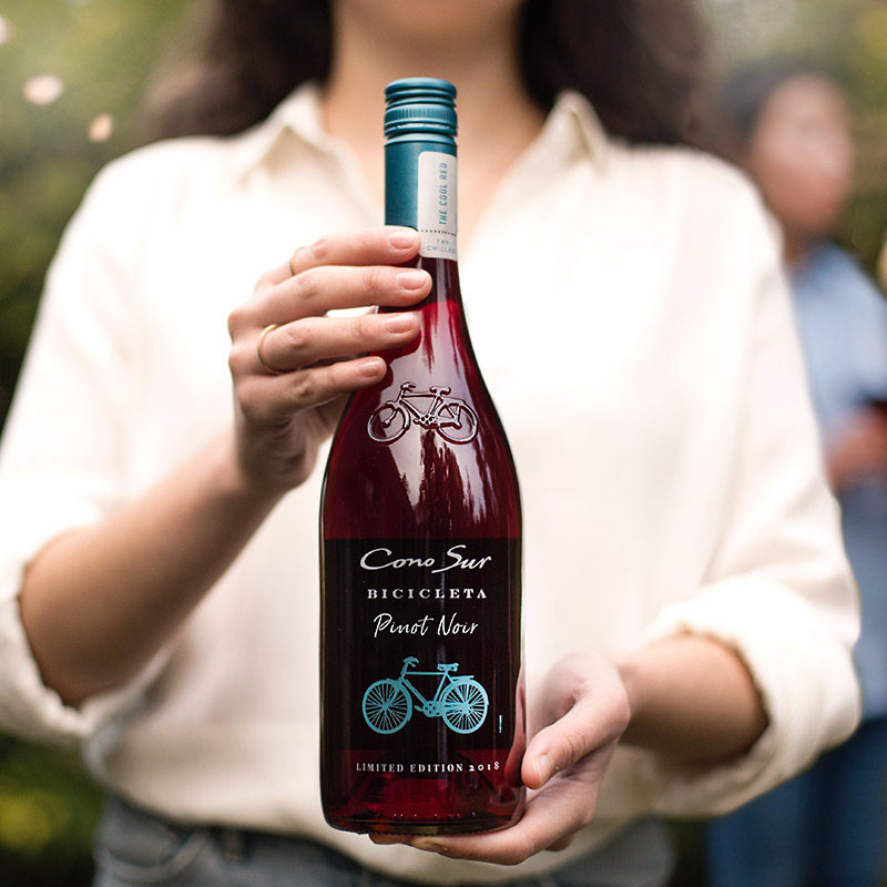 柯诺整箱诺干黑皮比诺珍藏自行车红酒苏智利进口干红静态葡萄酒