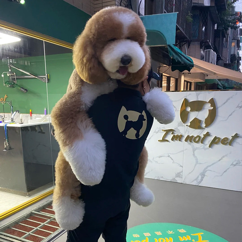 纯种巨贵家养宠物狗大型泰迪花色幼犬活体巨型宠物训练