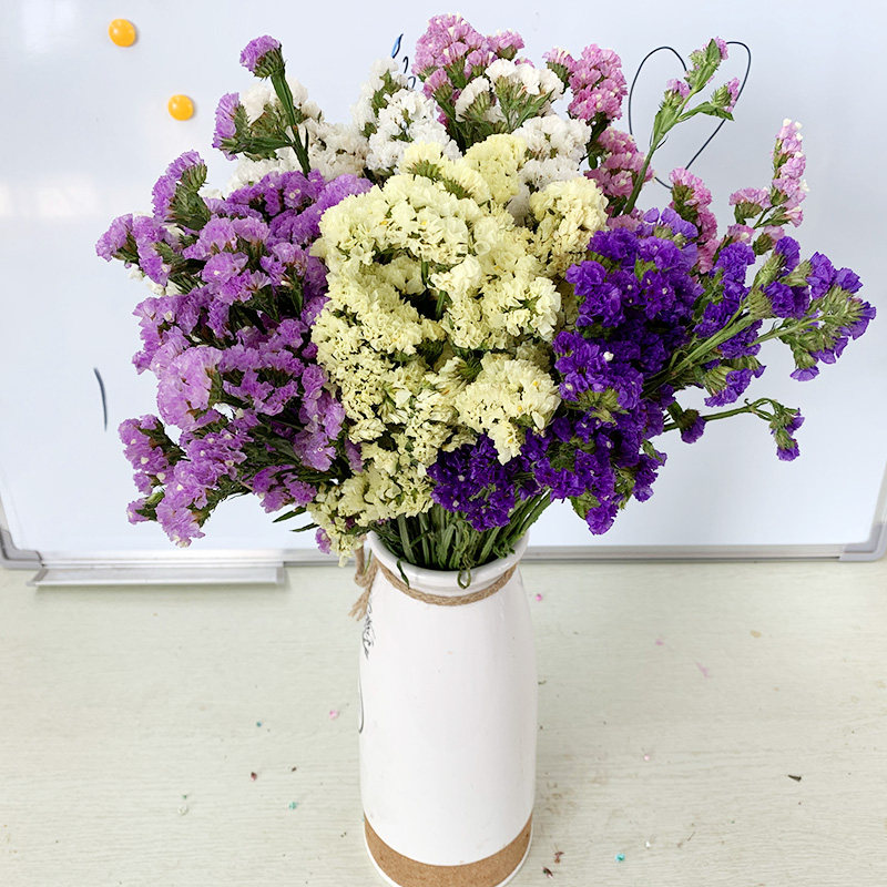 勿忘我真花鲜花云南基地直批发自然风干花束客厅摆设插花用按斤卖