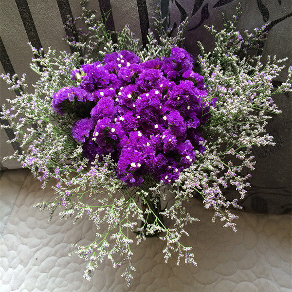 勿忘我真花鲜花云南基地直批发自然风干花束客厅摆设插花用按斤卖