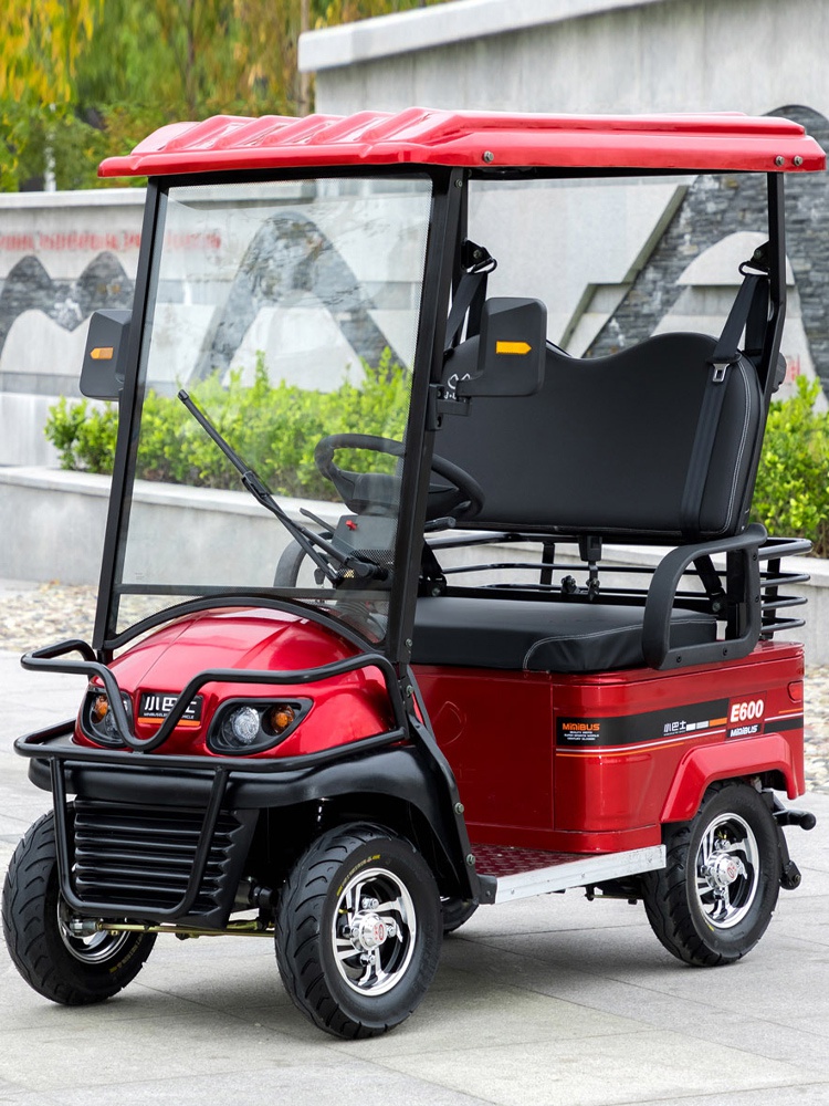 电动小巴成人车光观电动车老年小型家用巴士代步老年代步车