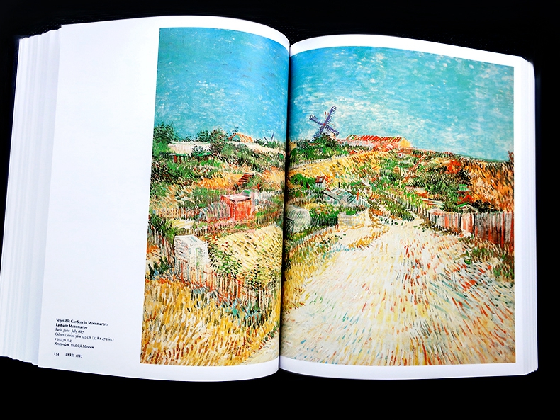 作品凡高画册油画美术印象派全集梵高英文版paintings艺术类原版书