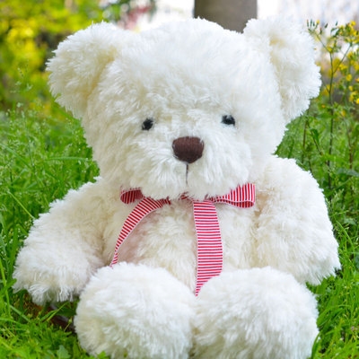 毛绒玩具熊抱抱熊布娃娃公仔儿童礼物送女l生生日圣诞节泰迪熊玩