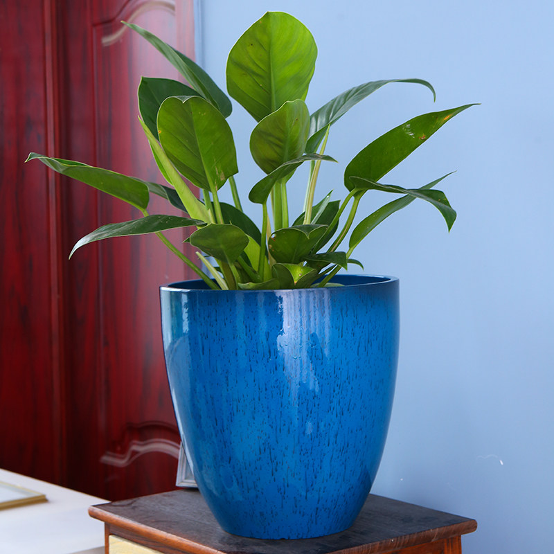 花盆树脂大号大口径以上客厅落地盆栽天堂鸟幸福树花盆