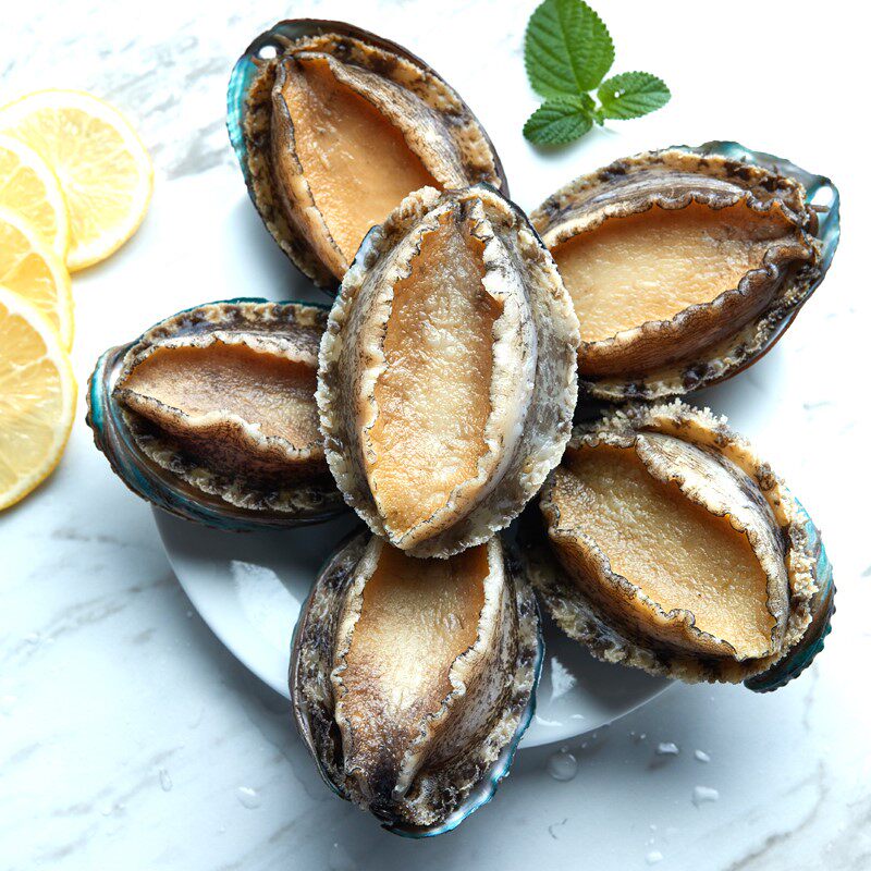 鲜活送礼年货海鲜6头漂烫鲍鱼通过大个正特手机保护套