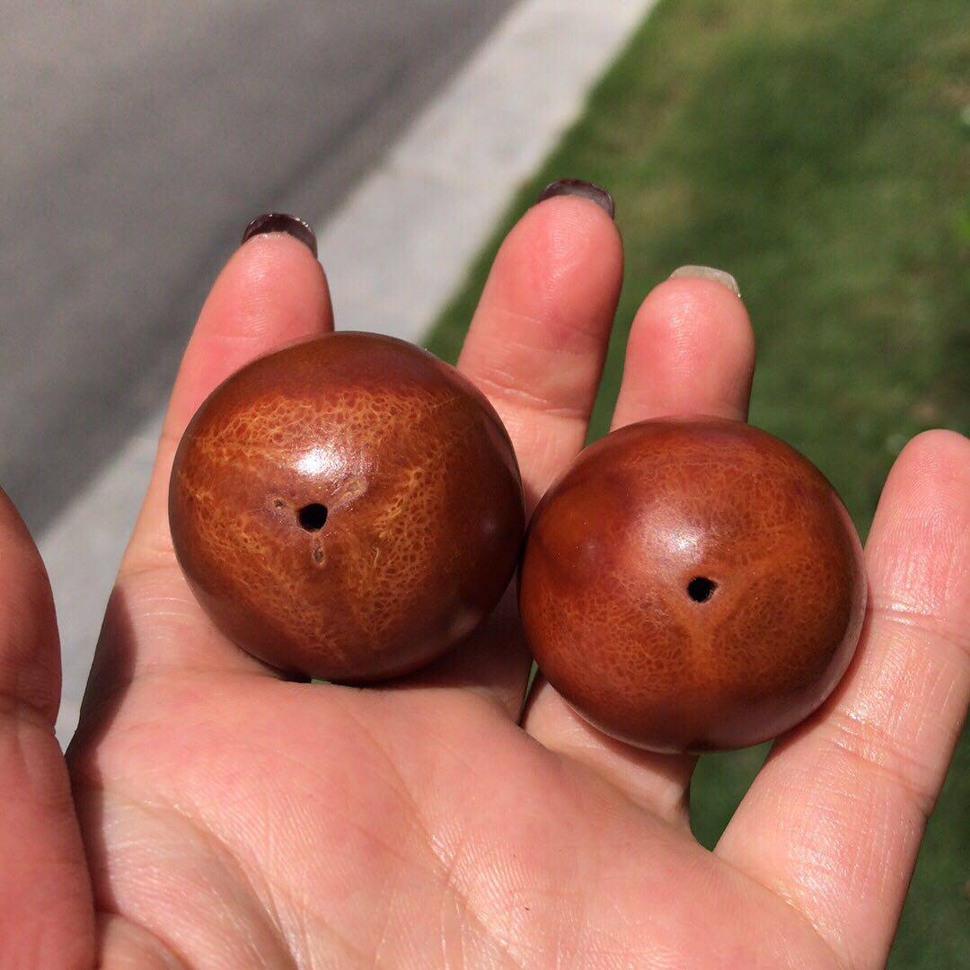 橄榄单核圆珠文玩手球手把巴西印尼单子手串