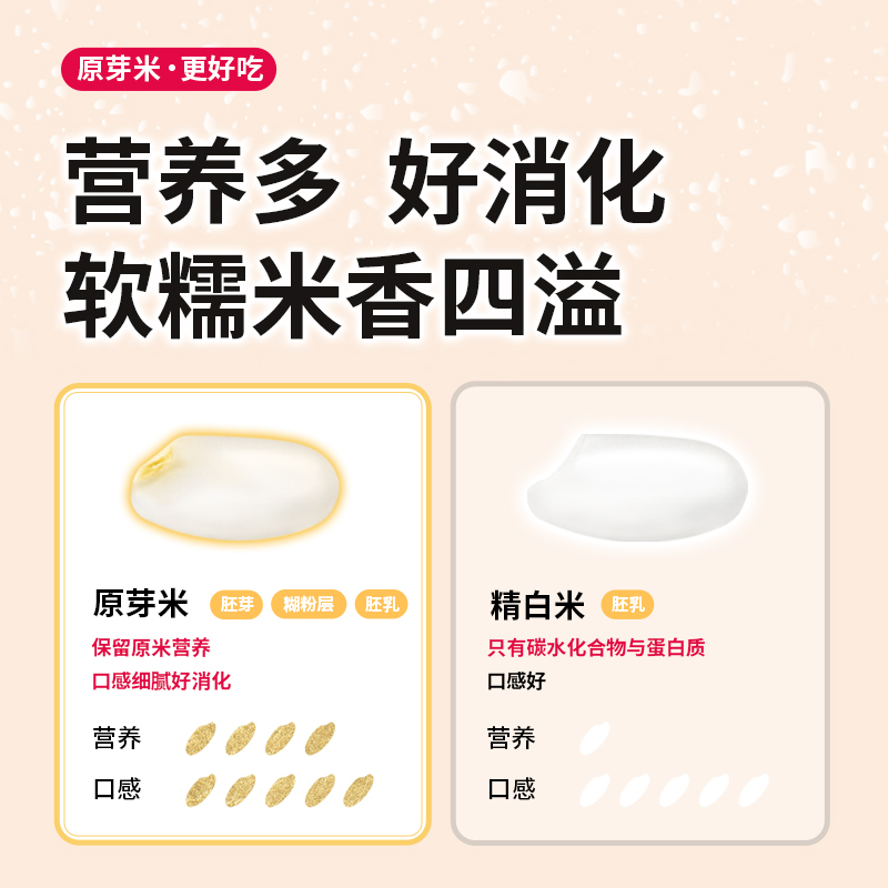 应物白大米胚芽米家庭新米原芽米真空包装留胚率20% - 图2