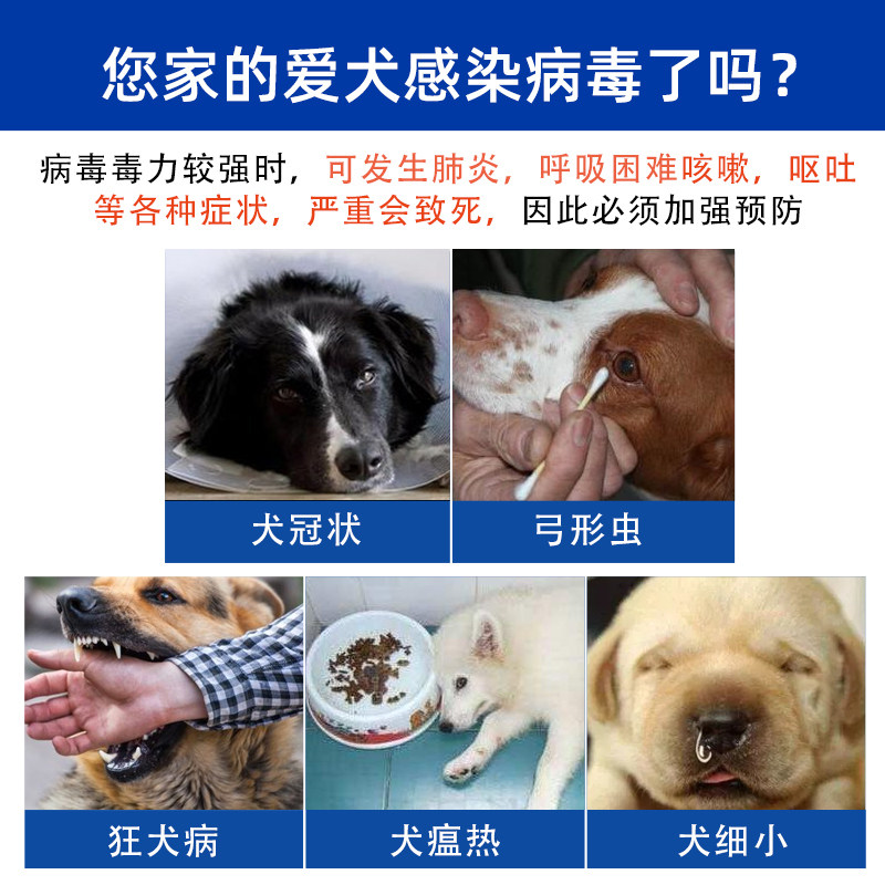 试纸检测犬瘟细小狗狗家用套装冠状狂犬狂犬病试纸