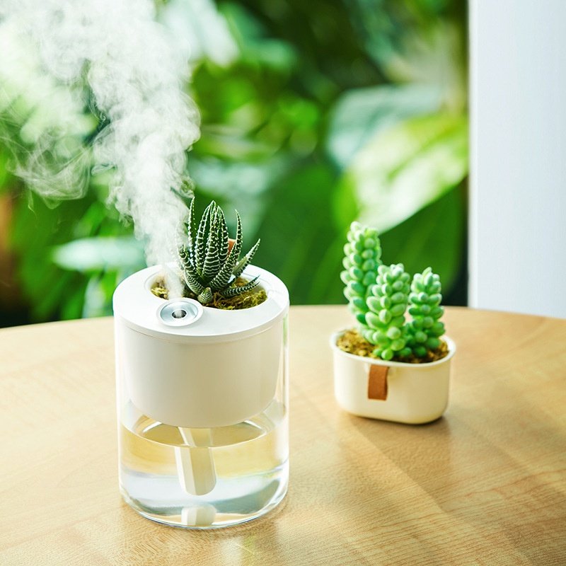 加湿器小生生态diy景观桌面多肉绿植盆栽空气净化加湿器