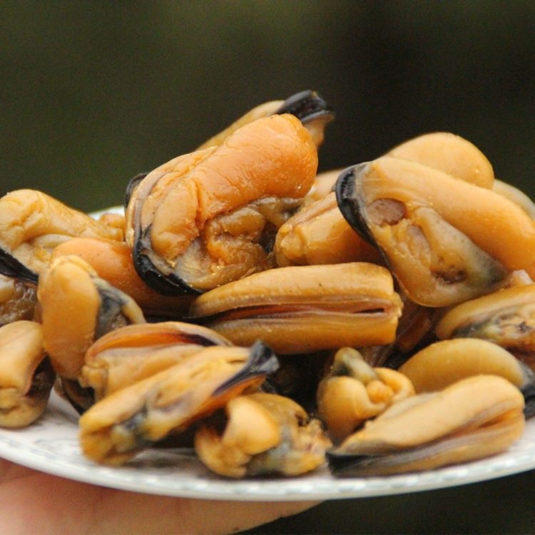 新晒淡菜500g海虹贻贝火锅食材口贝海鲜干货青口贝