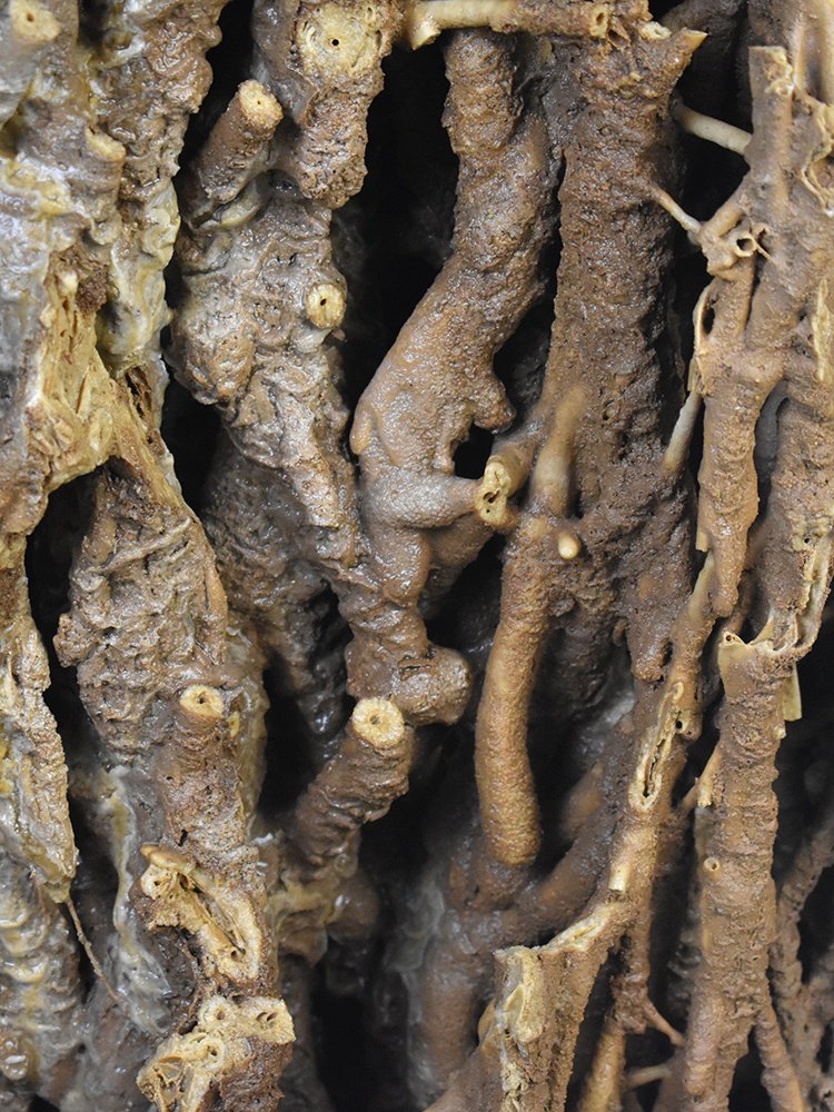 芦管庭院钟乳石石钟乳吸水造景上水原石石原石石麦管其它园艺用品