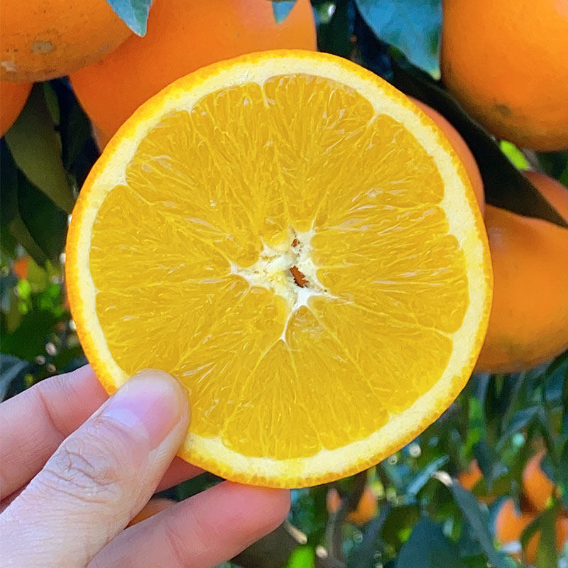 湖南崀山脐橙10斤大果新鲜橙子当季冰糖手剥橙