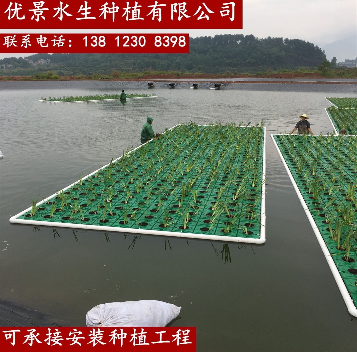 人工生态浮岛河道浮盘空心菜泡沫板水蔬菜水稻冲浪板