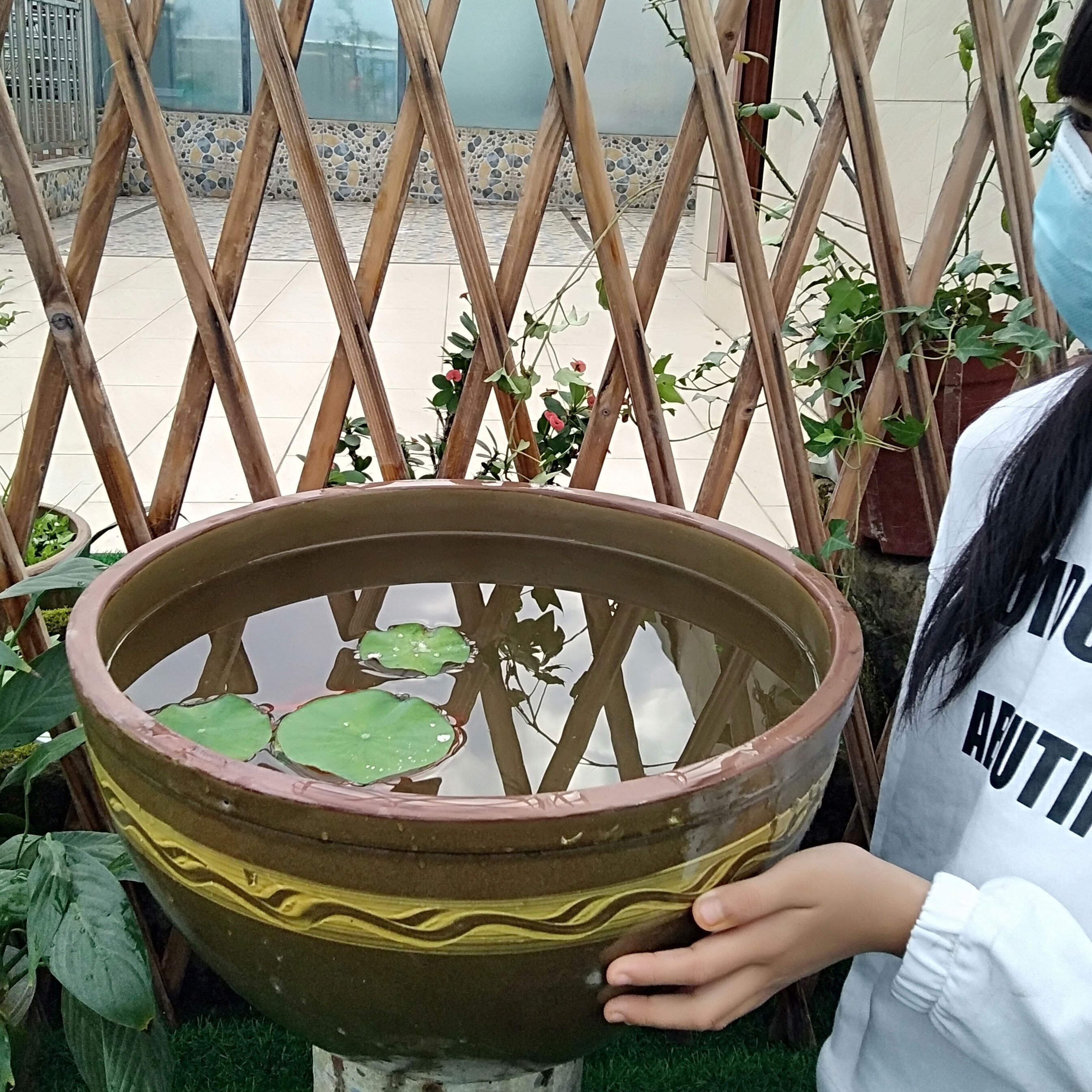 陶瓷室外鱼缸老式水缸睡莲庭院特大荷花锦鲤鱼缸