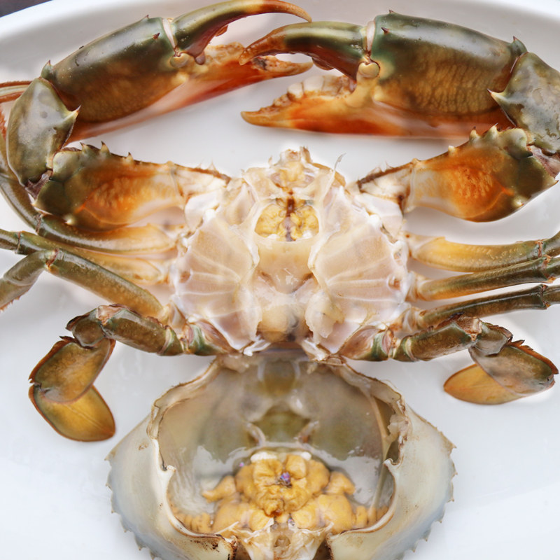 三门鲜活特大超大螃蟹公青水产海鲜红鲟膏海蟹青蟹