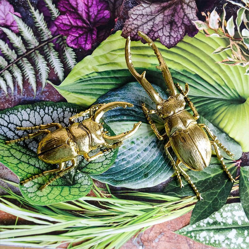金色小动动物昆虫鹿角仙锹甲虫北欧ins标本摆件