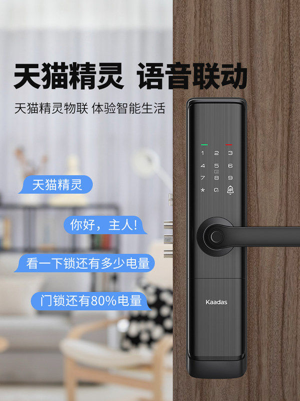 凯迪仕智能锁tk2plus指纹家用防盗门电子密码门锁