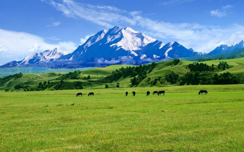 fj0801环保无缝靠山寓意电视春天风景大树花草定制壁画