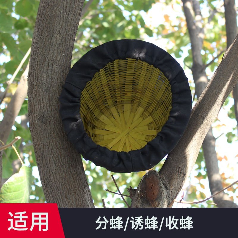 收蜂笼招蜂笼竹制野外捕蜂收蜂器诱蜂养蜂专用工具抓蜜蜂笼子新款