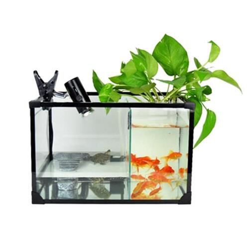 鱼龟缸混养鱼缸乌龟缸一体两w用混养共养缸隔离晒台二合一家用客 - 孤