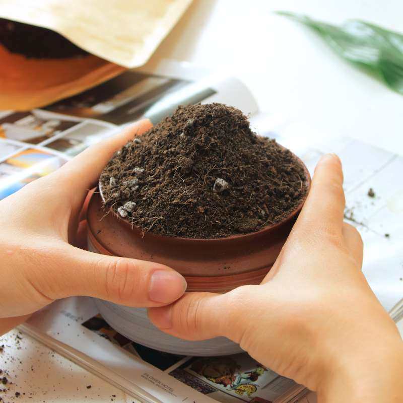通用有机营养土绿多物种肉土养a花肥料阳台盆栽植植通用型泥炭土
